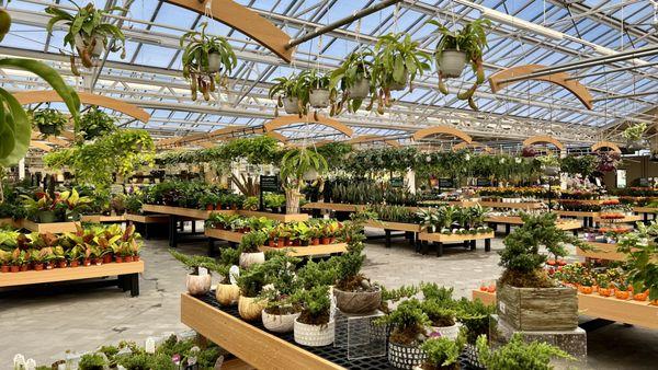 Hicks Nurseries greenhouse, indoor plants