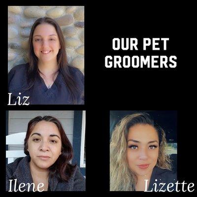 Our groomers