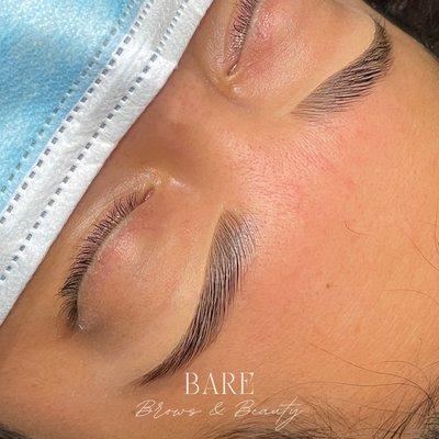 signature brow lami