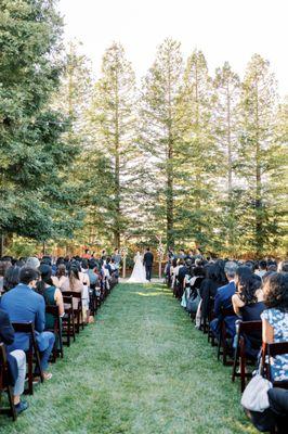 ceremony area with redwood trees