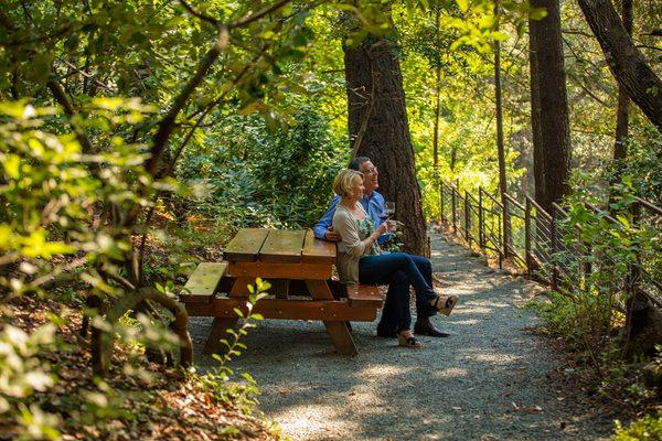 Bring a picnic to enjoy in our gardens with a bottle or glass of wine