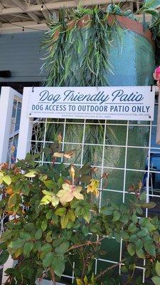 Pup friendly patio