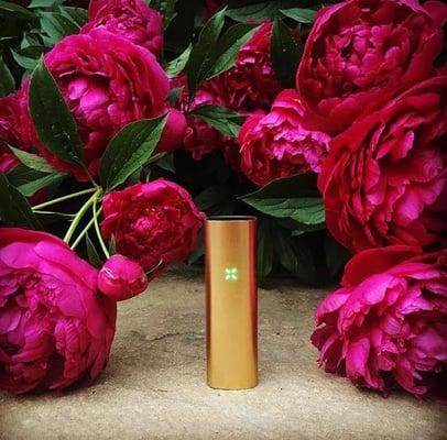 Limited Edition Gold Pax 2.