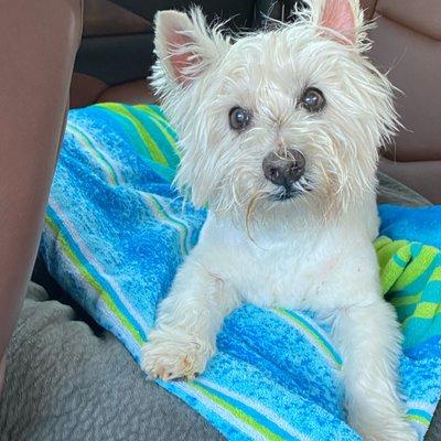 Truman Newman an hour post dental extraction procedure of 18 teeth. Truman is 16 years old.