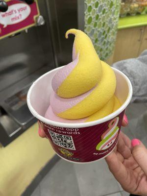 Medium Frozen Yogurt