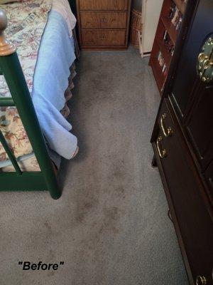 Carpet Before