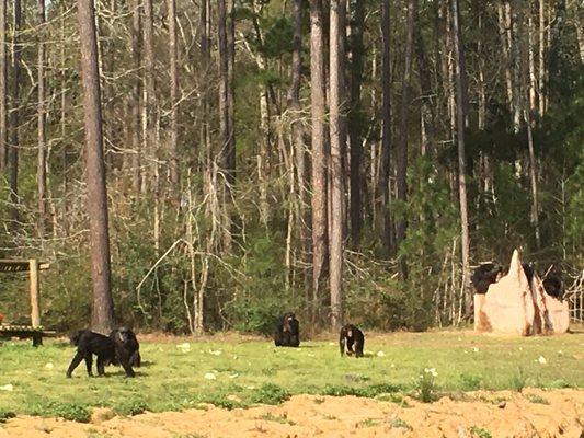 3/18/17. Saturday morning. Discovery Day. Today is the first Discovery Day of 2017. There will be six this year!