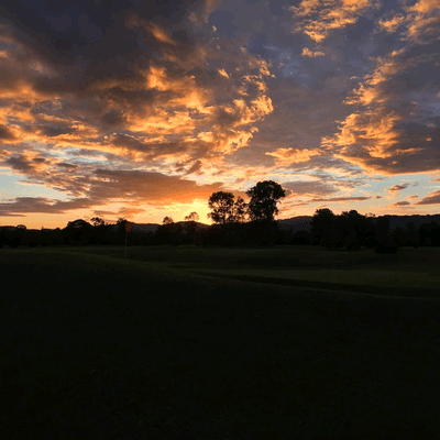 Trysting Tree Golf Course