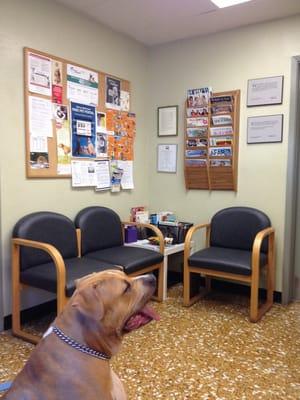 Nice and neat waiting area.