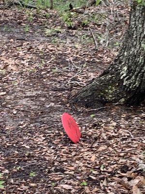 Disc golf wet edistion.