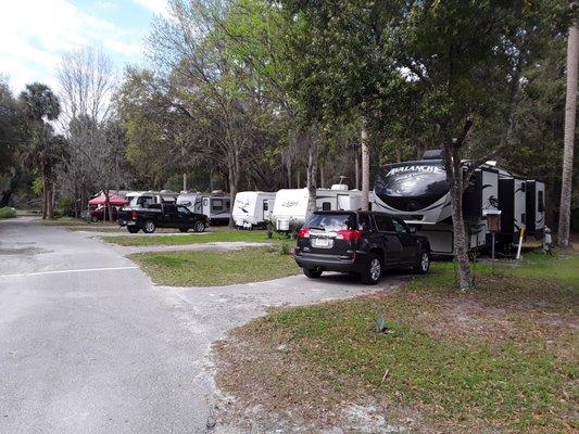 www.citraroyalpalmrvpark.com    located in Citra, Florida --  midway between Ocala and Gainesville