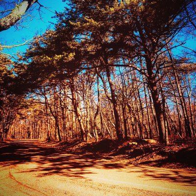 Cheaha State Park Loop