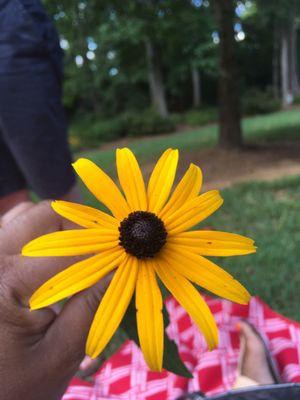 Pretty flower my sweet husband picked for me.