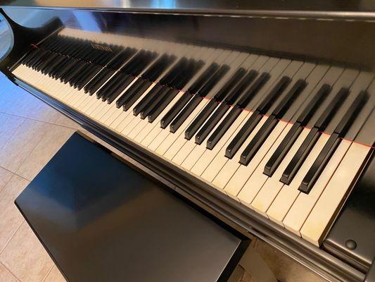 These are the original ivory keys from 1929.  Previously stained, some with chips and one was even split. Now perfect.