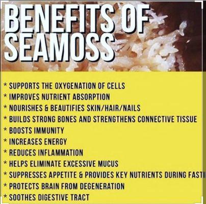 Seamoss Benefits