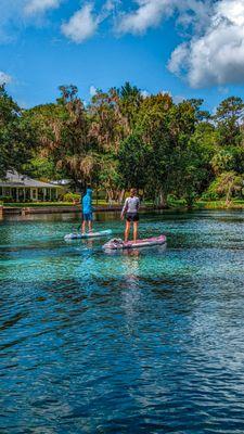 Rainbow Springs Paddle Board Adventure