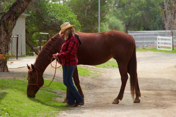 Enjoying my horse Diamond.