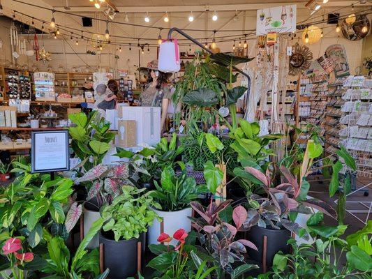 The Plant Foundry Nursery & Store