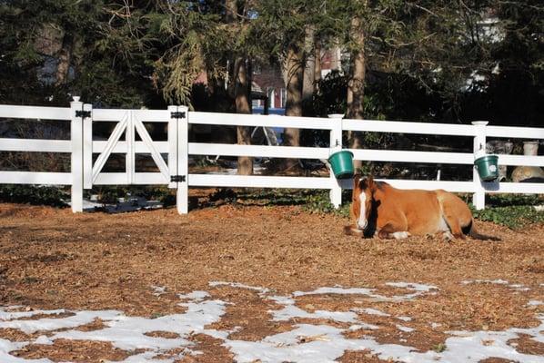 Academy Vinyl Post and Rail Fencing - Horse Fence - 3-rail