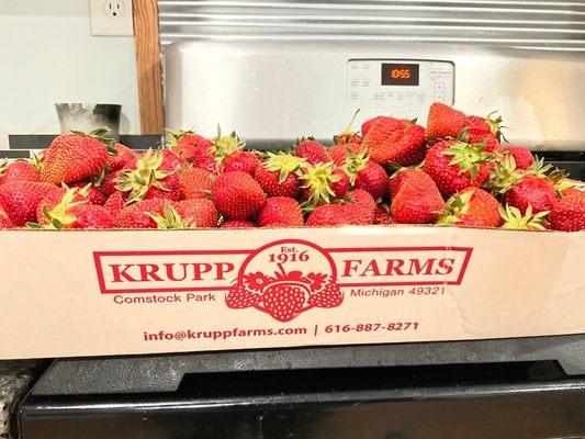 Krupp Farms