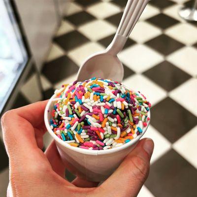 Mint Cookie with Rainbow Sprinkles - single scoop