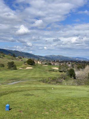 Hole 12. Driveable green