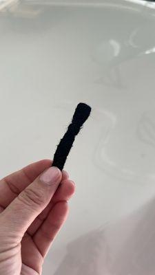 The piece of brush stuck in my car.