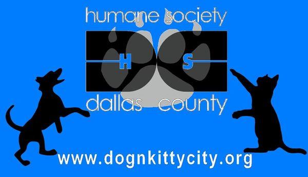 Dallas no kill shelter