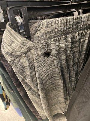 Pants with cricket