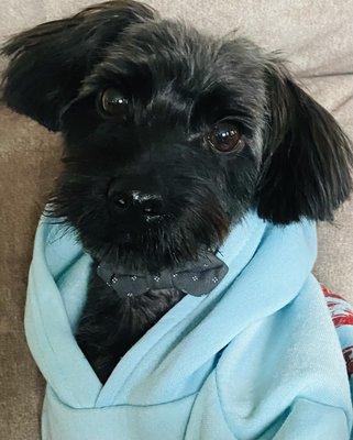 Cooper looks very handsome with his new haircut.