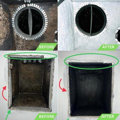 Mold Treatment -