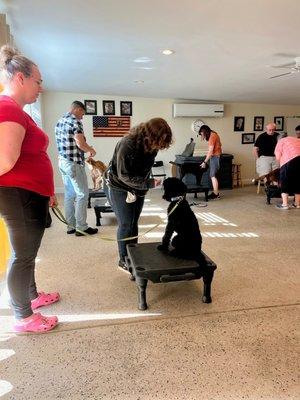 Puppy Training Class!