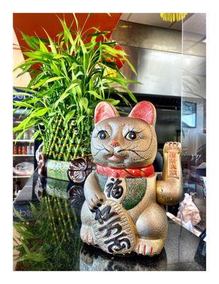 Lucky Cat @ New China . 7407 Archer Ave, Summit, IL  Carry Out ,Catering,Delivery, Dine In. Big Parking. Fast Nice Service. Cool!