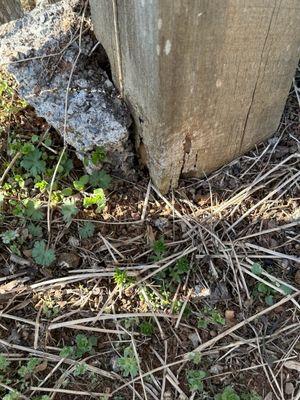 Fence post