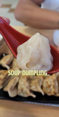 Soup dumpling