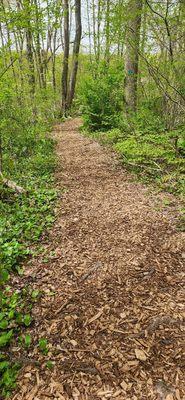 one of the many mulched side paths