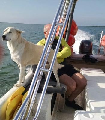 Scupper loves the boat ride to kayak put in site.