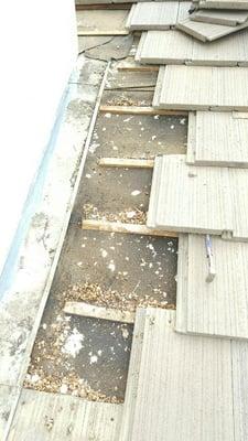 Debris build up causes roof leaks