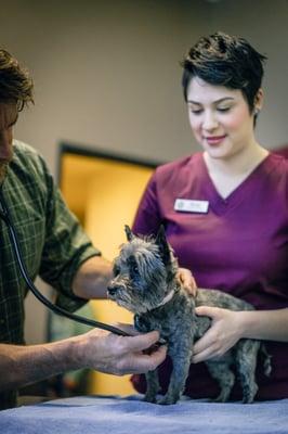 Technician Mariah assists Dr. Baker during an exam.