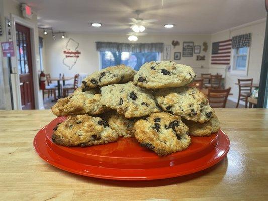 Cranberry Walnut Scones