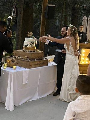 The bride and groom cutting the cake.