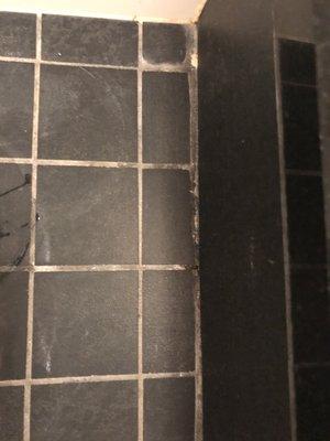 Holes in grout after just 6 months