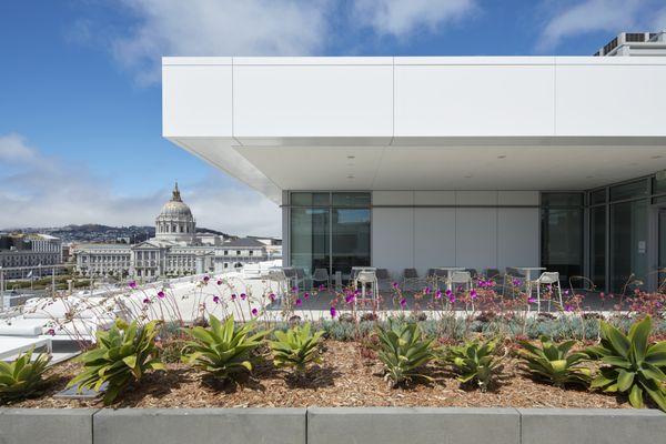 The Sky Deck at our Cotchett Law Center