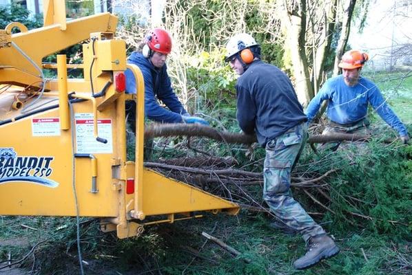 The Blooma crew chips up debris, leaving the site clean.