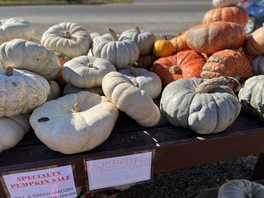 Scott's Farm Store