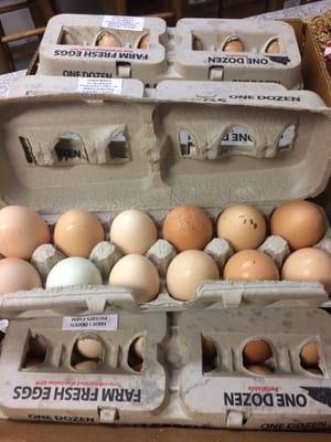 Fresh local eggs