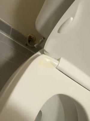 Pee on the seat?