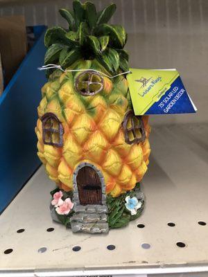 Cute! A fairy pineapple house!!