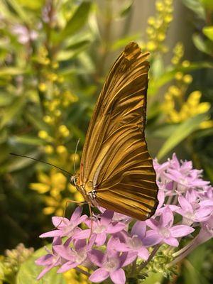 Smithsonian National Zoological Park