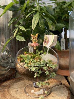 fairy plant decor!